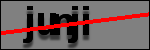 متن برای شناسایی