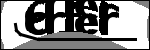 متن برای شناسایی